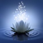 தீப ஒளி எங்கே போனது?