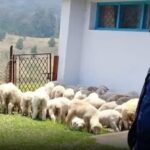 சபரிமலைக்கு இ-பாஸ் இல்லை ஊட்டிக்கு எதுக்கு..?