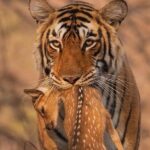 இயற்கைக்கு ஏன் இத்தனை குரூரம்?