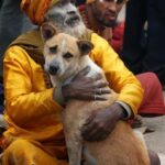 வீட்டுக்குள் துறவறம் போதும்