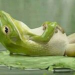 ஏன் மனிதனுக்கு ஒய்வு எடுக்கத் தெரிவதில்லை..?