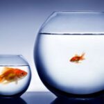 பிறருடன் ஒப்பிடுவது துன்பத்திற்கு அழைப்பு