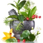 மூலிகைக்கு ஆசைப்படுங்கள்