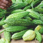 பாகற்காய் இருக்க பயம் எதற்கு?