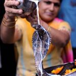 கடவுள் பற்றிய கவலை மனிதருக்குத் தேவையில்லை