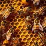 அடேங்கப்பா ஆச்சர்யத் தகவல்கள்