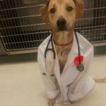 ஜாலியா ஒரு ஸ்மைல் பண்ணுங்கோ…