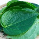 காம மூலிகை தெரியுமா?