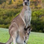 அடடே ஆச்சர்யத் தகவல்கள்