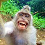 சிரிச்சிக்கிட்டே சிரி ராஜா