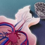 மூளைச்சாவு என்பது உண்மை இல்லை