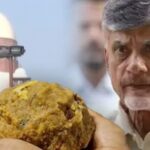 சந்திரபாபு நாயுடுக்கு லட்டு லட்டா திட்டு