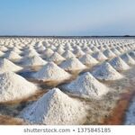 மாணவர்களுக்கு கடல் உப்பு வேண்டாமே