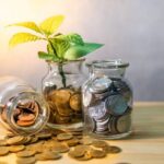 பணத்தை விதையாக்குங்கள்