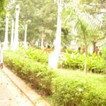 சென்னைக்குச் சுற்றுச்சூழல் பாதுகாப்பு