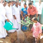 பூங்காவில் மூலிகைச் செடிகள்