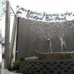 சென்னைக்கு மகுடமான சேத்துப்பட்டு பசுமை பூங்கா