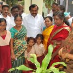 பசுமைத் திட்டத்தில் பள்ளி மாணவர்கள்