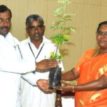 பணம் கொட்டும் செம்மரத் திட்டம்