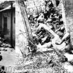 கீழ்வெண்மணியில் 44 பேர் உயிருடன் எரிக்கப்பட்ட…