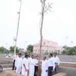 கடற்கரையில் வளர்ந்த மரங்கள் நடும் திட்டம்