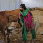 இந்தியாவின் தேசிய பானம் கோமியம்..?