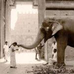 நெஞ்சைத் தொடும் குட்டிக் கவிதைகள்