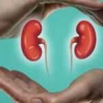 சிறுநீரகம் ஆரோக்கியமா இருக்குதா..?