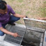 சிங்கப்பூரில் வித்தியாசமான ஆய்வு