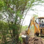 மரத்தை அழிக்க மனிதனுக்கு உரிமை உண்டா..?