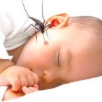 குழந்தையை சுற்றும் கொசுக்கள்..!