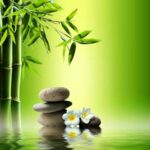 மூங்கில் மருத்துவம் தெரியுமா?