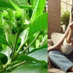 ஜலதோஷ எதிரி யாரு தெரியுமா..?