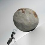 எந்த அளவுக்கு பொறுமை வேண்டும்..?