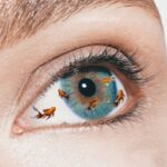 கண்கள் ஆரோக்கியத்திற்கு மீன்கள்