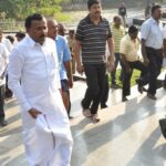 டெங்கு நோய்க்கு என்ன சிகிச்சை?